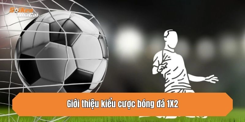 Giới thiệu kiểu cược bóng đá 1X2