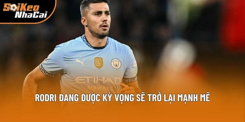 Rodri đang được kỳ vọng sẽ trở lại mạnh mẽ