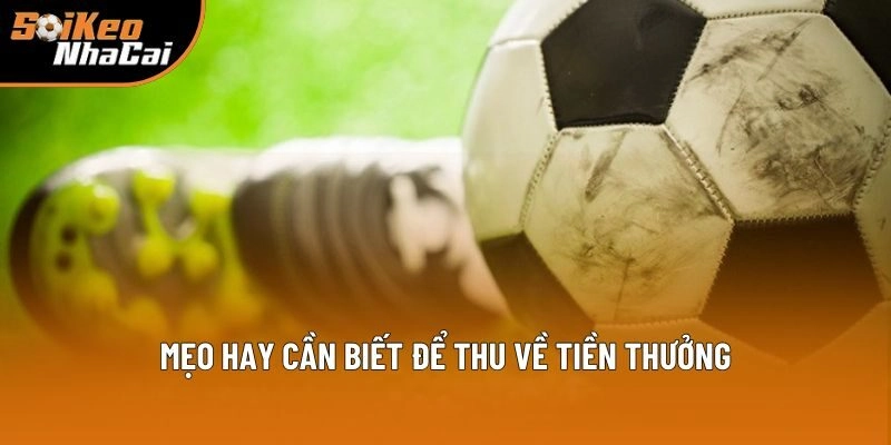 Mẹo hay cần biết để xuống tiền vào kèo cược hiệu quả, chuẩn chỉ