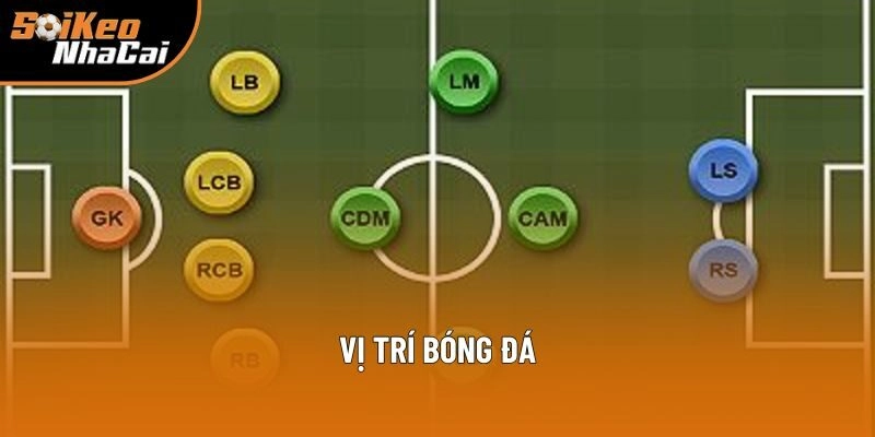 Vị Trí Bóng Đá: Nơi Làm Nền Bộ Khung Cho Các Sơ Đồ Chiến Lược