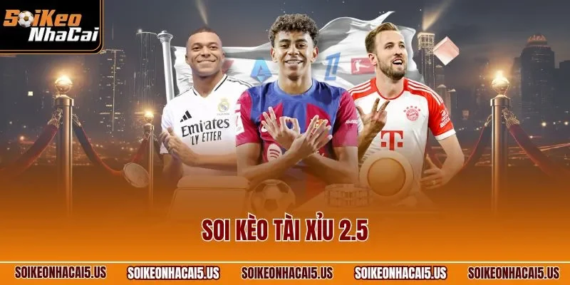 Soi Kèo Tài Xỉu 2.5 – Chỉ Dẫn Phương Pháp Phân Tích Hiệu Quả